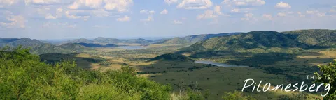 Two Hours From Johannesburg to Pilanesberg's Big Five