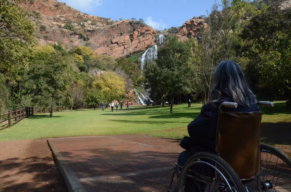 Zebra, Eagles and Wetlands on Johannesburg's Edge