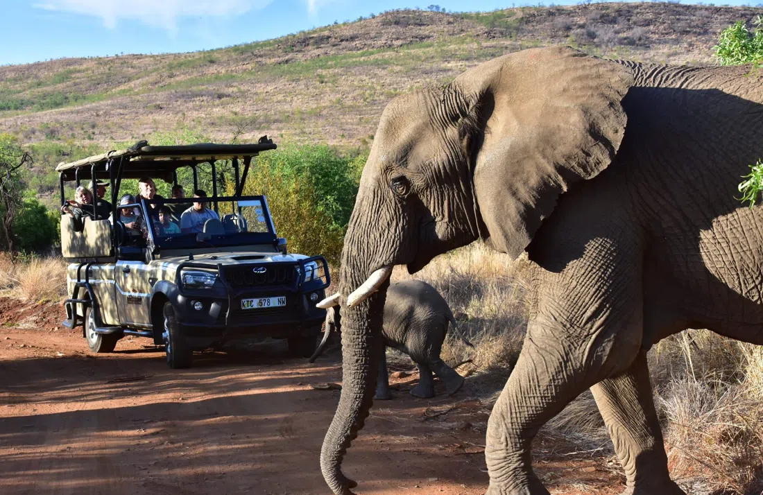 Mankwe Gametrackers, Johannesburg