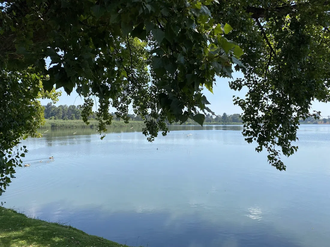 Pioneers Park (Wemmer Pan), Johannesburg