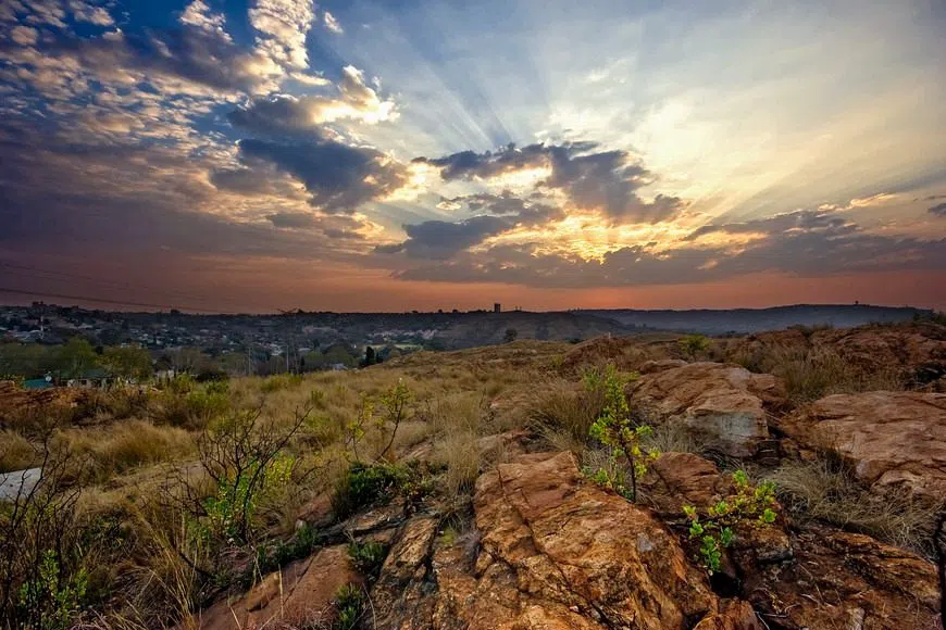 Die grünen Bergrücken von Johannesburg