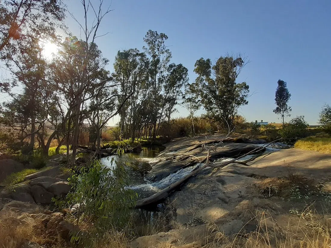 Modderfontein Reserve, Johannesburg