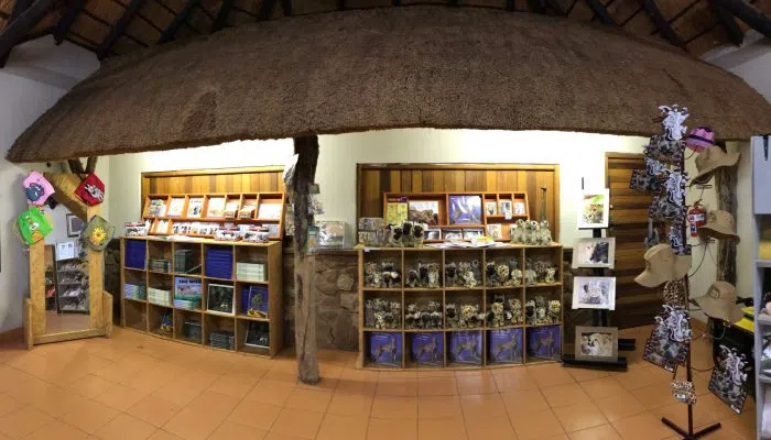 Ann van Dyk Cheetah Centre (De Wildt), Johannesburg
