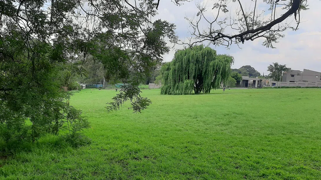 Harvey Nature Reserve (Linksfield Ridge), Johannesburg