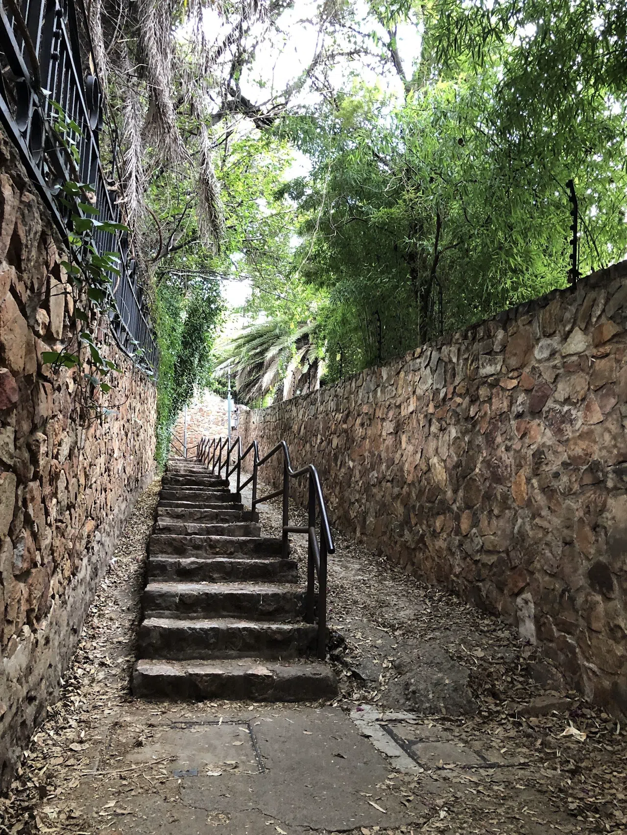 Johannesburgs ridgewandelingen beginnen bij de Westcliff Stairs