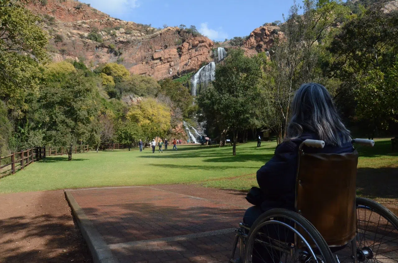 Zebre, aquile e zone umide ai margini di Johannesburg