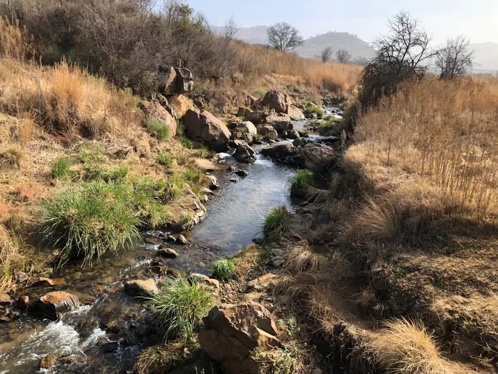 Riserva Naturale di Klipriviersberg, Johannesburg