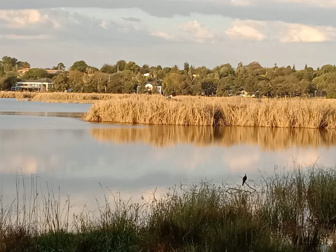 Korsman Conservancy (Korsman Bird Sanctuary), Johannesburg