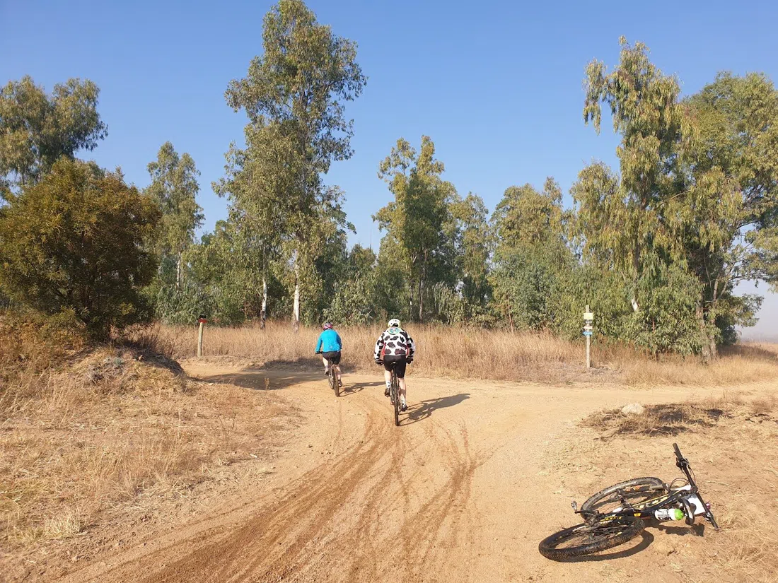 Northern Farm (Riserva Naturale di Diepsloot), Johannesburg