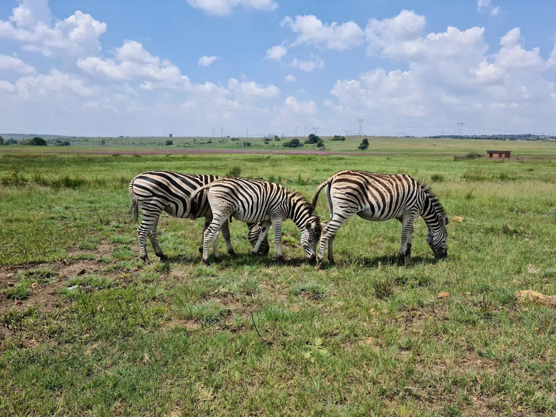 Rietvlei Nature Reserve, Johannesburg