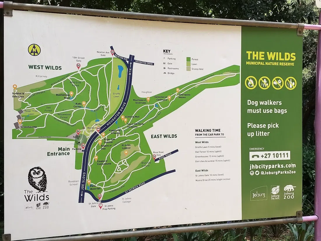 Riserva Naturale di The Wilds, Johannesburg