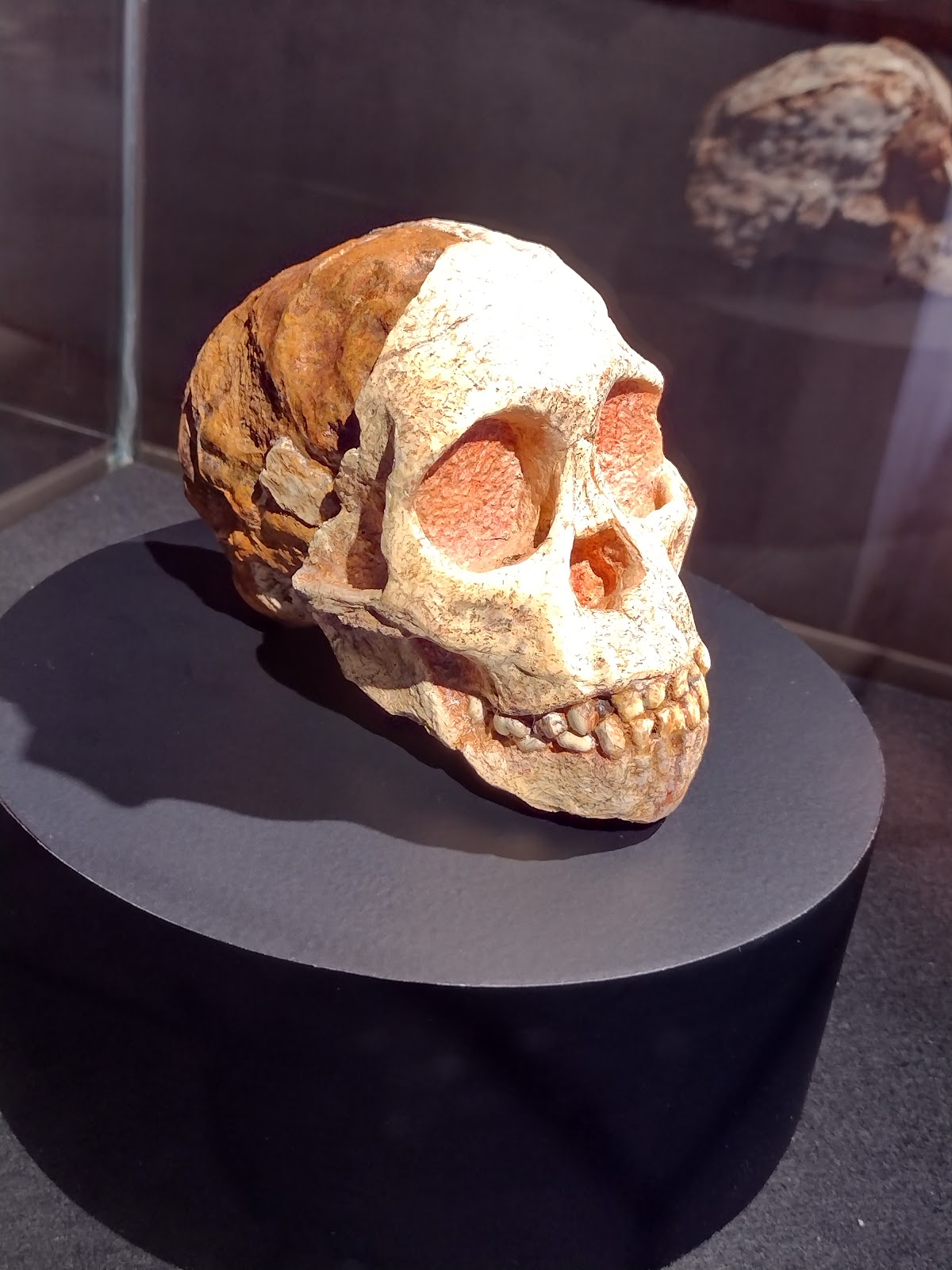 Origins Centre — photo 3