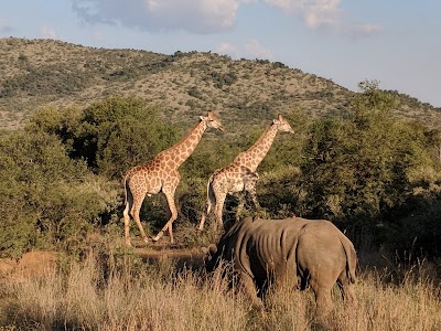 Pilanesberg National Park