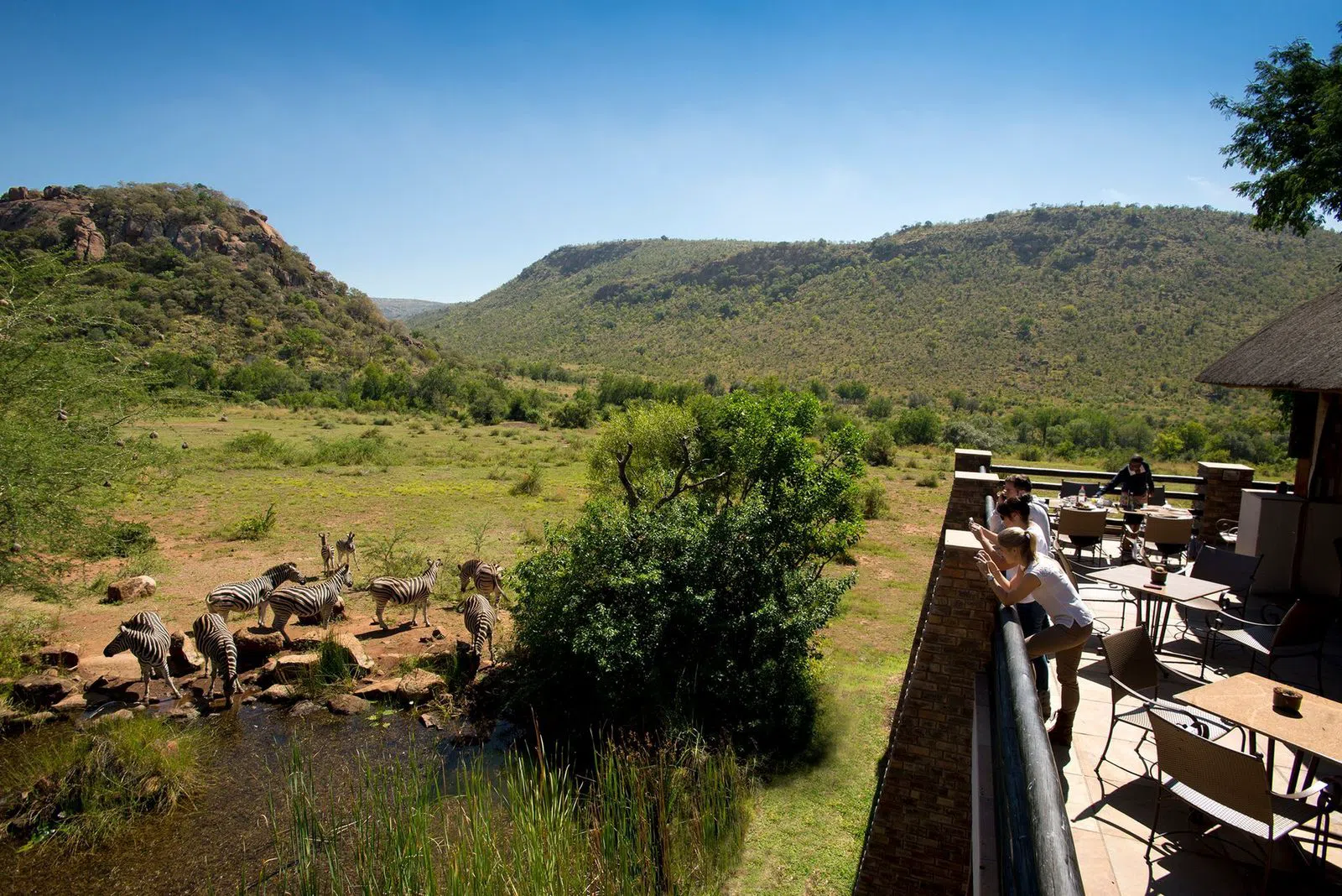 Kwa Maritane Bush Lodge, Johannesburg