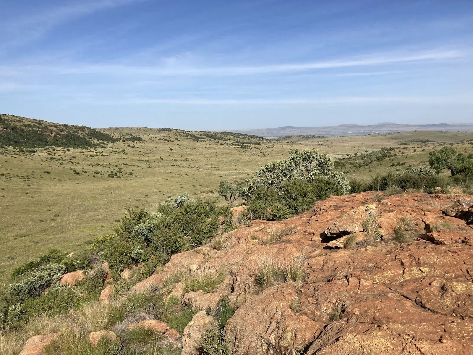 Suikerbosrand Nature Reserve, Johannesburg